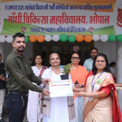 Independence Day Celebration 7