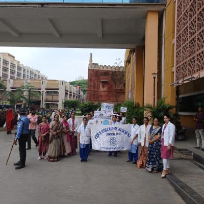 National Dengue Day