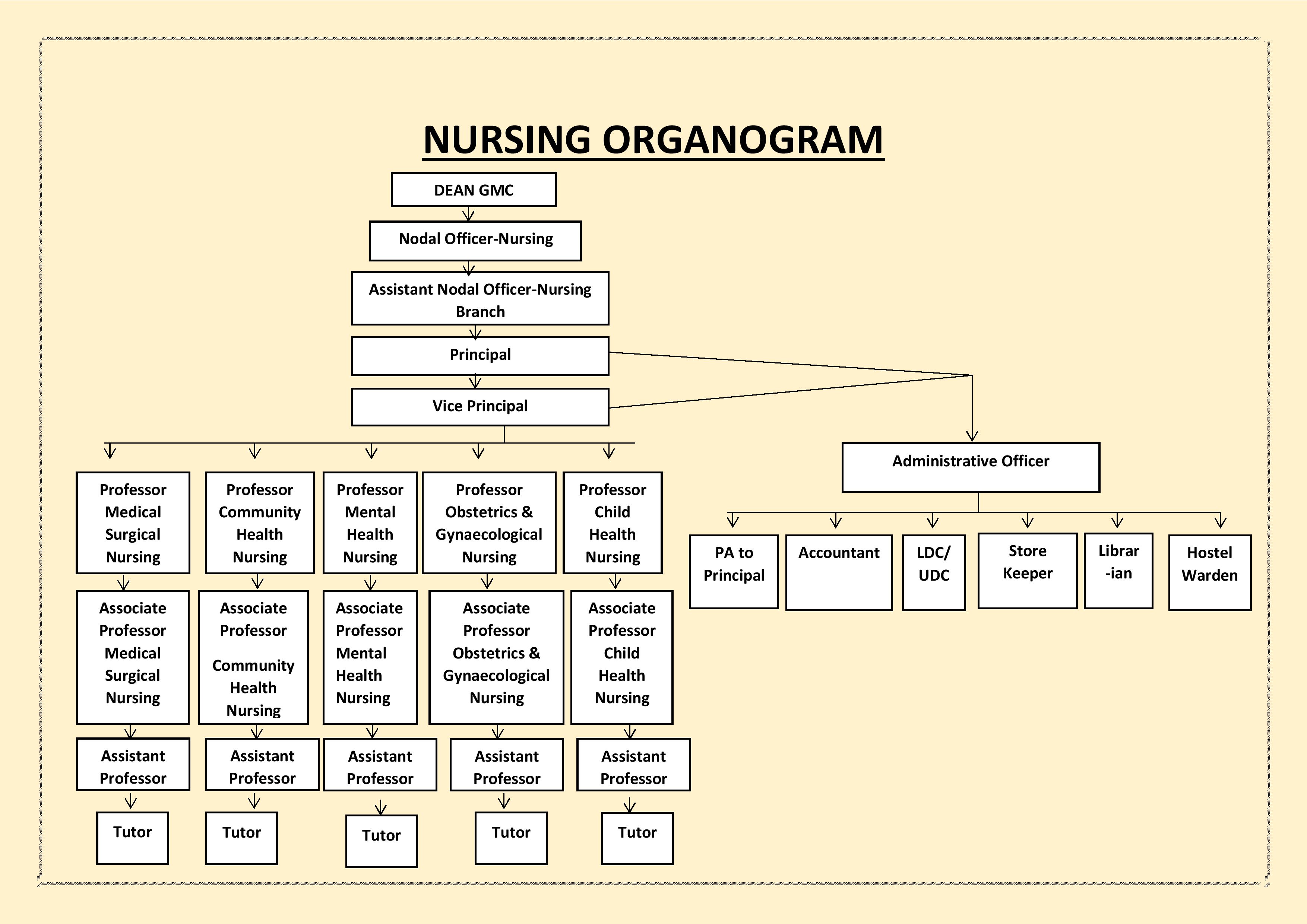 NURSING ORGANOGRAM